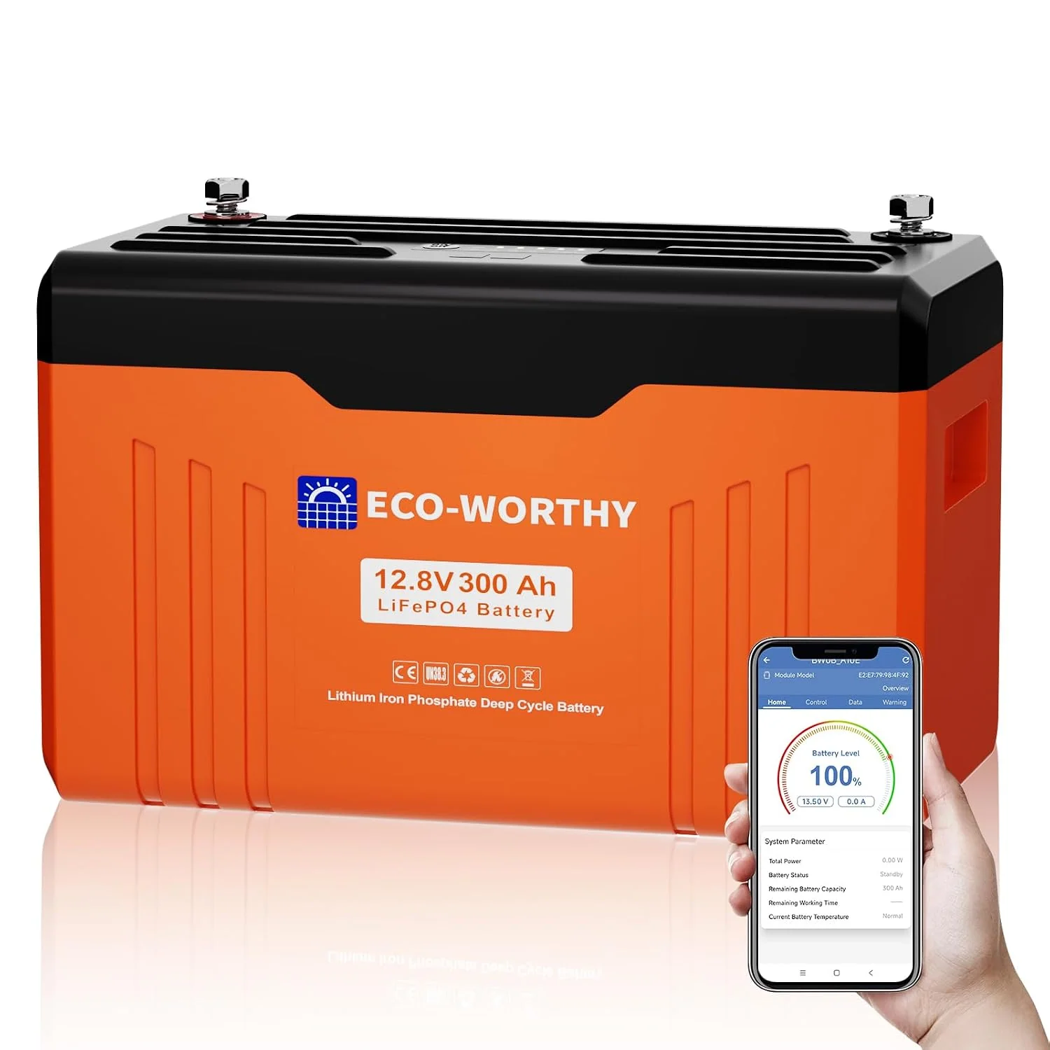 ECO-WORTHY Monitor, 3840 Wh, 300 Ah, 12 V, Orange/Schwarz, LiFePO4 Bluetooth mit Display, Lithium Batterie mit 200A BMS Low Temperature Schutz