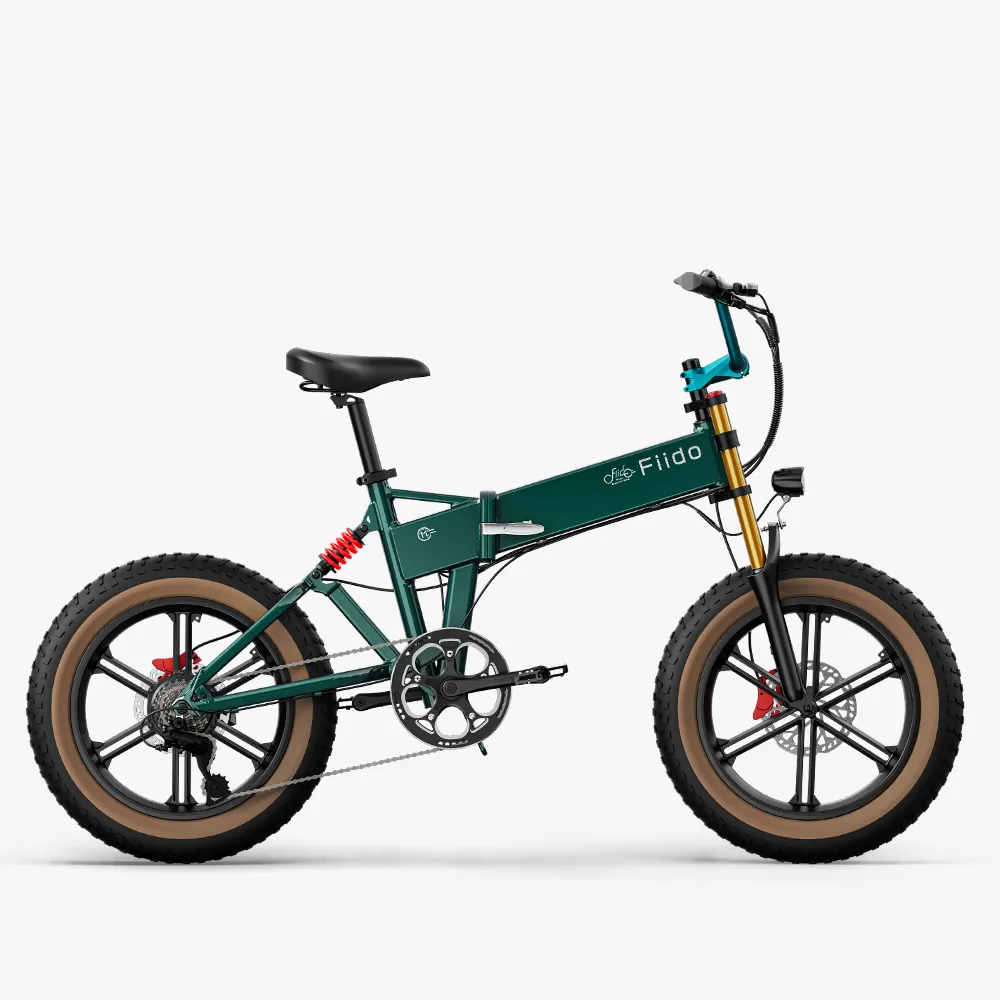 Fiido M1 Pro Elektrische Big Wheel Fatbike Fiido M1 Pro Elektrische Fatbike