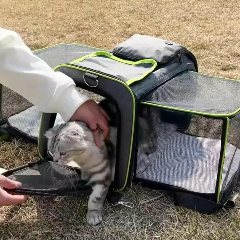 Expandable Pet Carrier Bag �C Breathable Mesh, Foldable & Lightweight