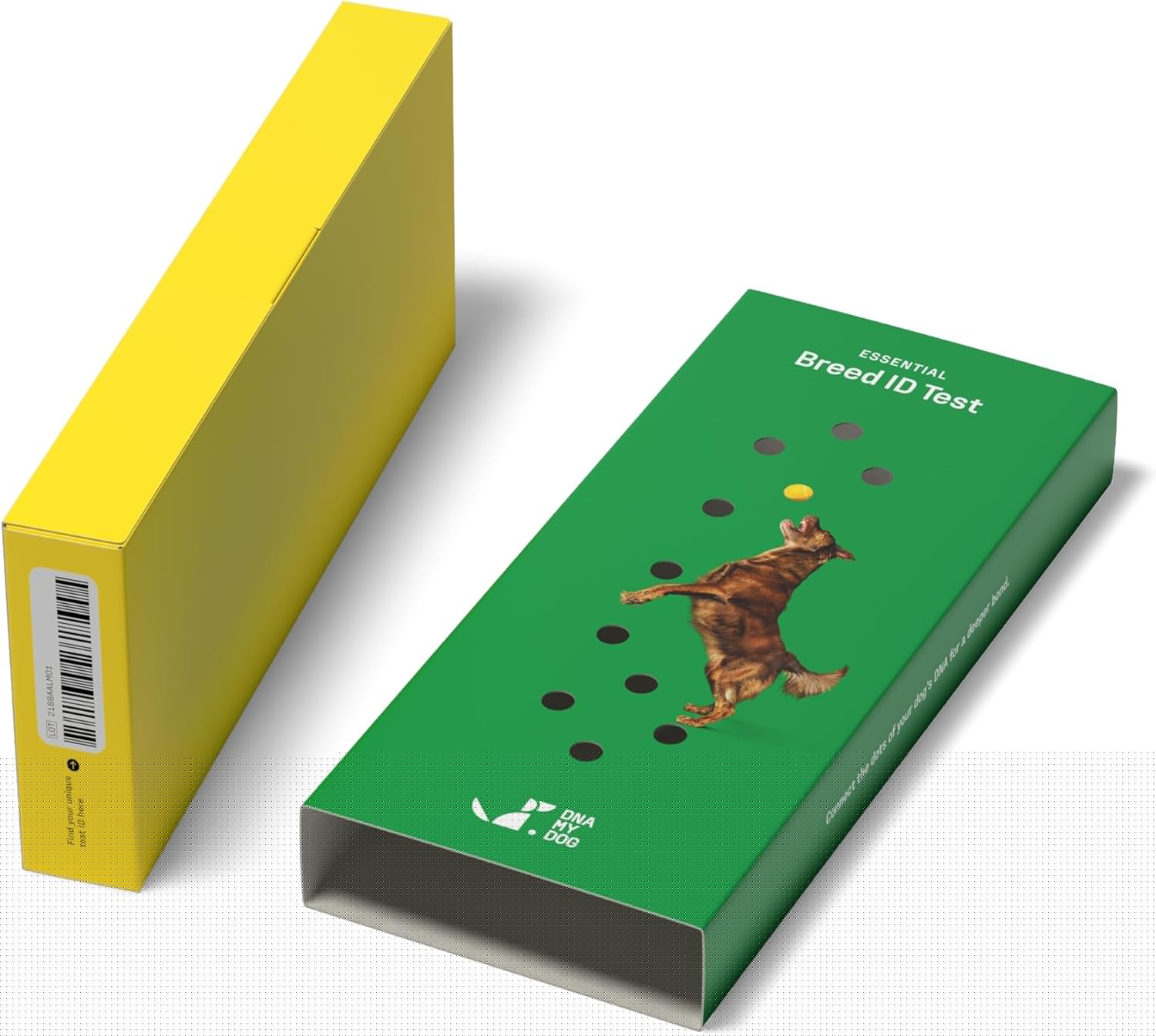Dna My Dog Essential Breed ID Test �?Accurate Mixed Breed Identification & Personality Insights with Easy Cheek Swab