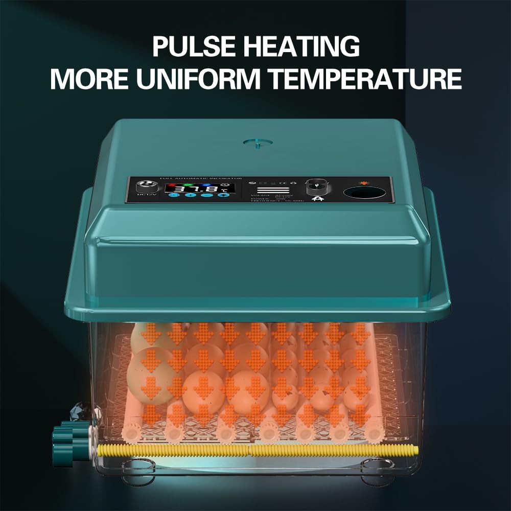 Incubatrice Automatica per Uova con Display Digitale, Controllo della Temperatura, Sistema di Rotazione Automatica, Verde