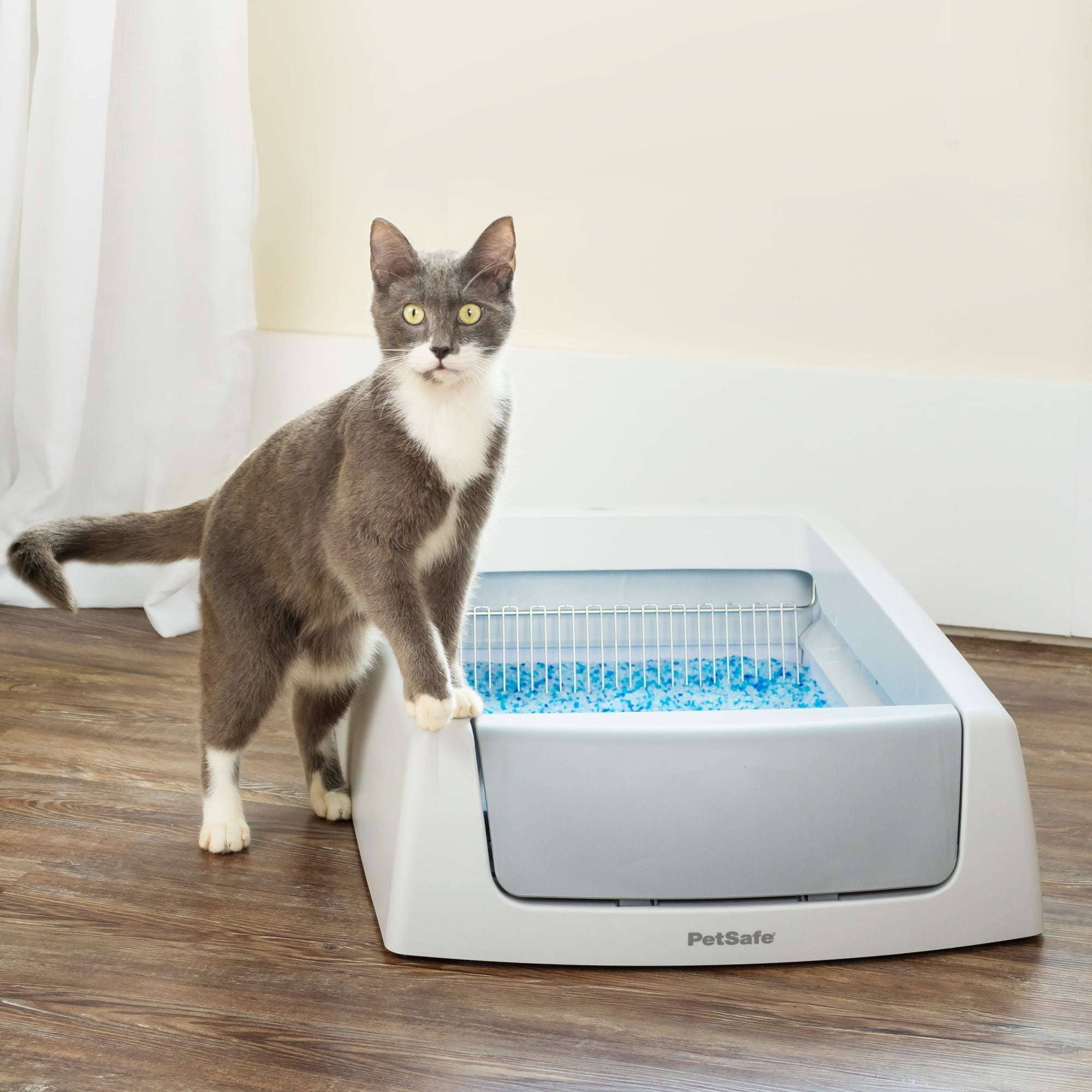 ScoopFree Complete Self Cleaning Litter Box &ndash; No Scooping Required &ndash; Unbeatable Odor Control