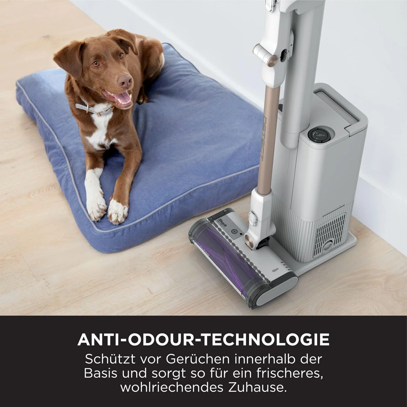Shark IW3612EUT Akkusauger + Entleerungsstation