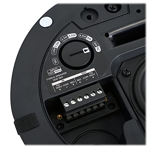 Bose  DesignMax DM2C LP (1 Pair) : Elettronica