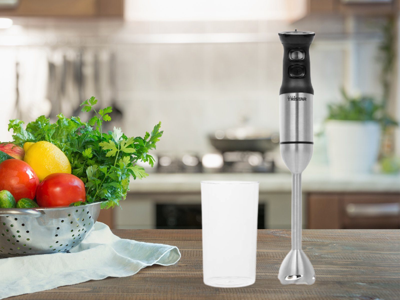 Stabmixer