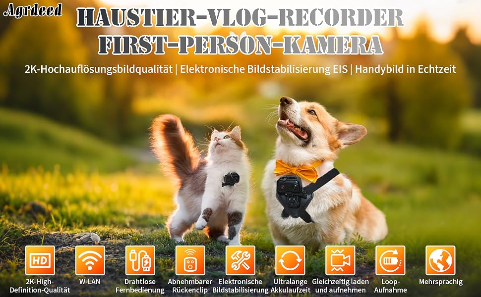 Telecamera collare per animali domestici 2K