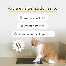 che mostra gli allarmi di emergenza domestici: rilevamento di CO/fumo, rilevamento di vetri rotti e rilevamento di persone. Gatto soriano arancione seduto vicino alle icone di avviso