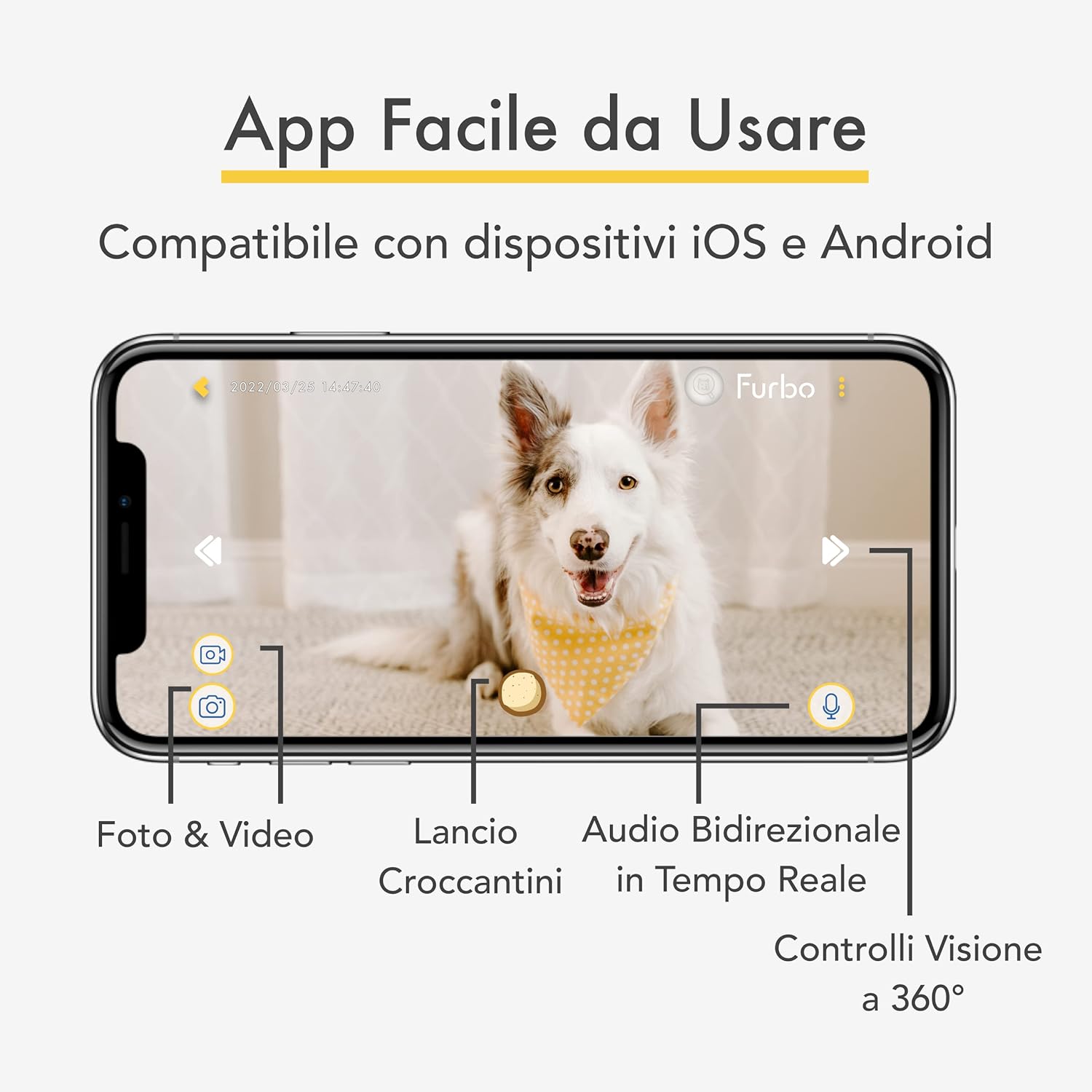 Furbo Videocamera 360° per Cani con Pacchetto Sicurezza Casa