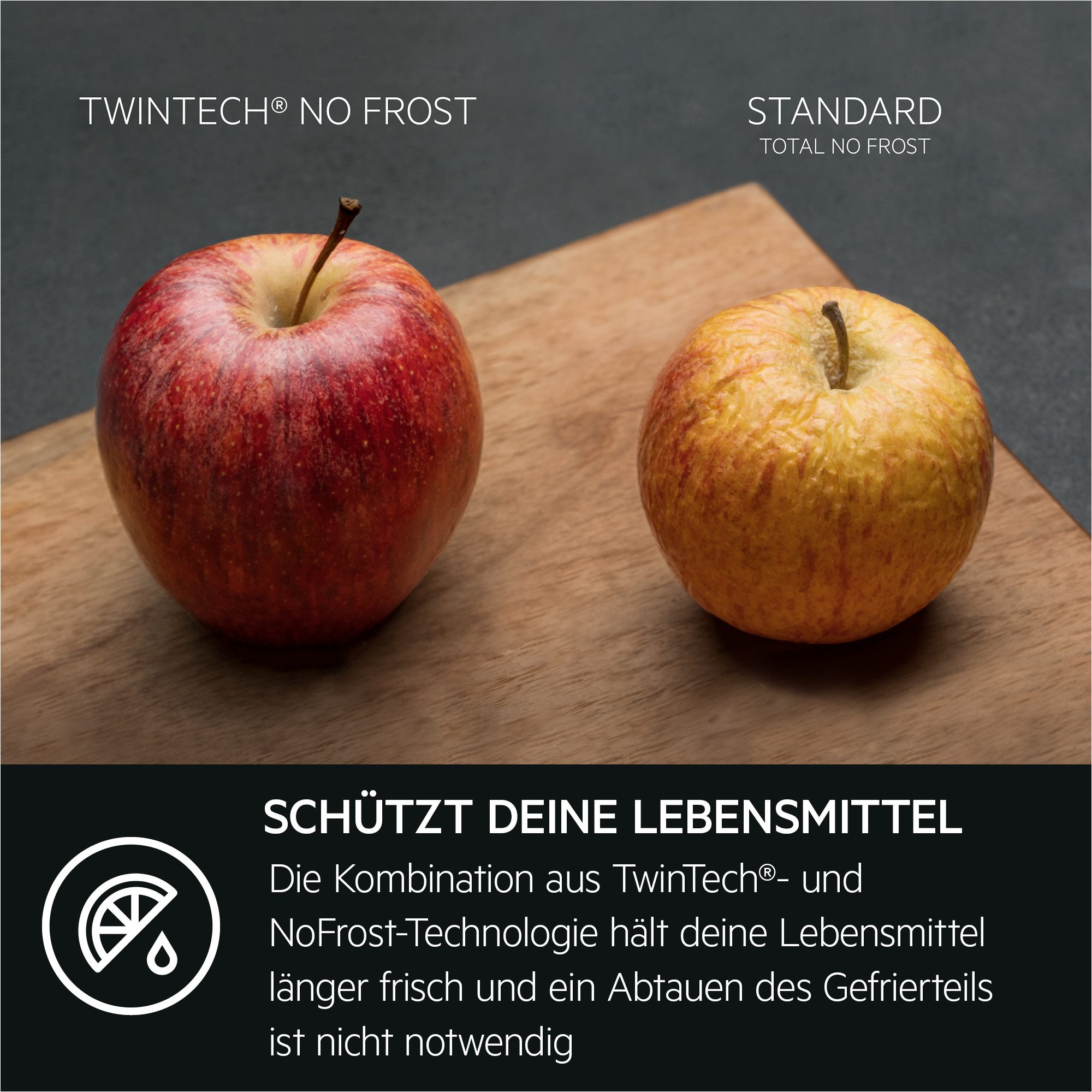 Einbaukühlgefrierkombination Serie 8000 TSC8M181BC