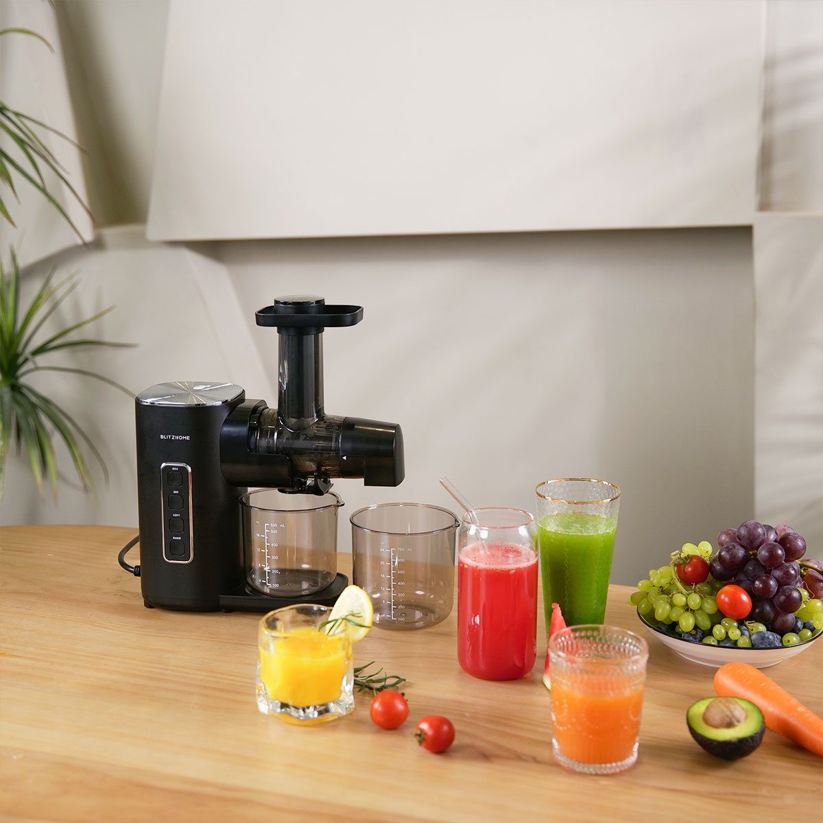 Slow Juicer Slow Masticating Juicer, Entsafter Gemüse