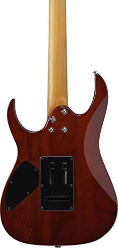 Ibanez Gio GRG220PA1 BKB Transparent Brown Black Burst   Chitarra elettrica : Strumenti Musicali