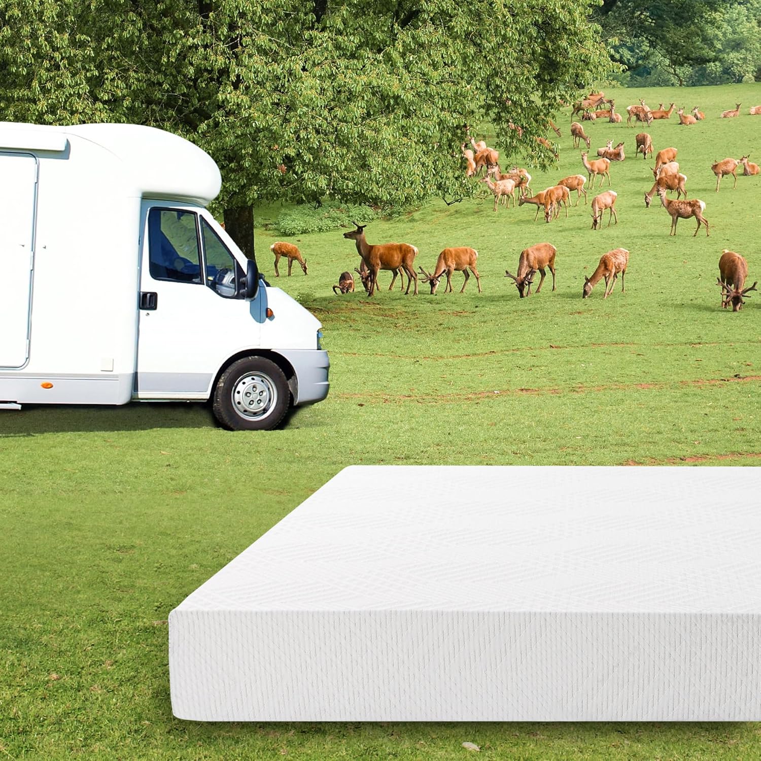 EGO White 10 Inch Short Queen Memory Foam RV Mattress, Cooling Gel Green Tea Mattress for RVs, Campers & Trailers, Bed in a Box, CertiPUR-US Certified, 60