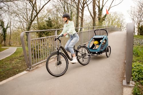 hauck Rimorchio Bici Bimbi Passeggino