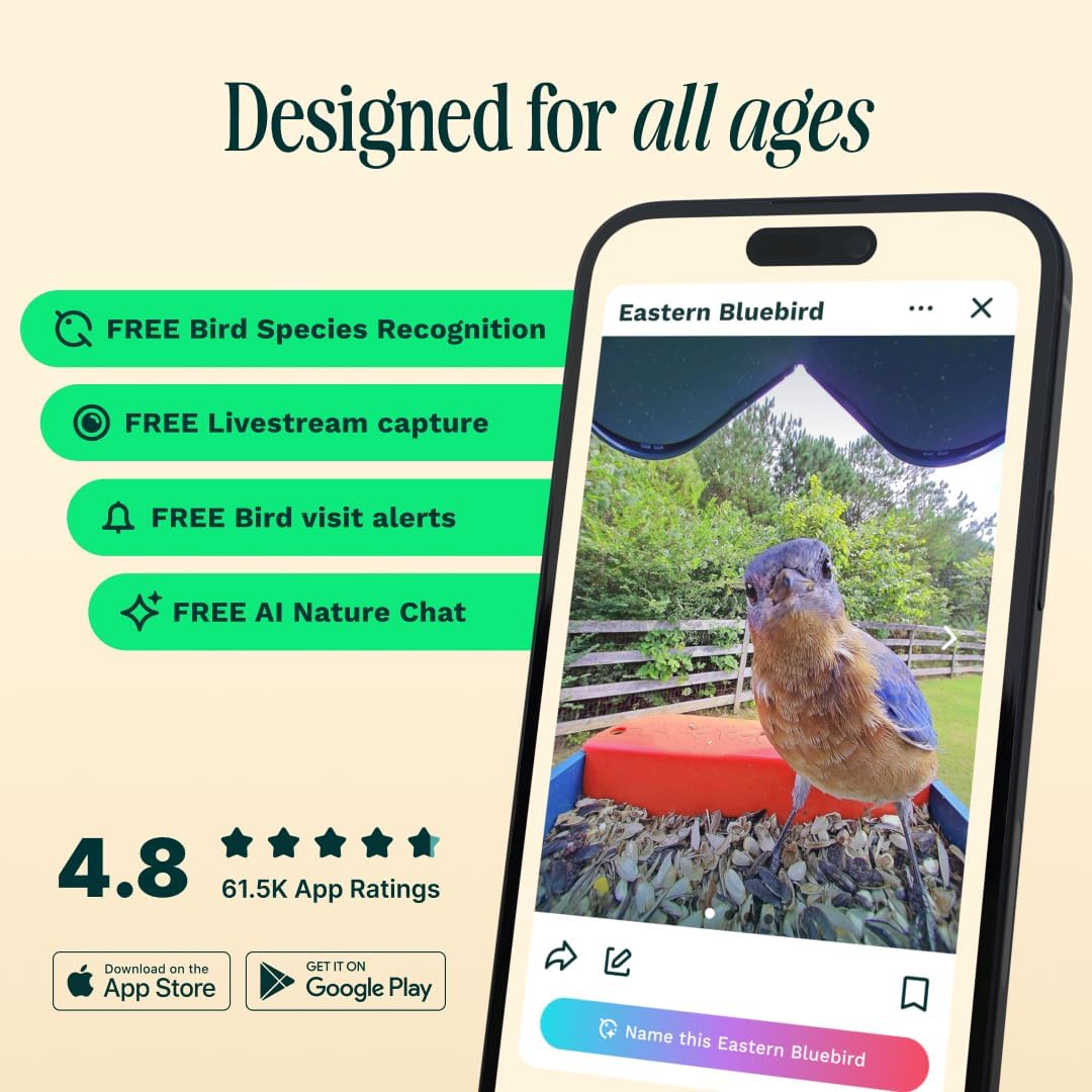 Birdbuddy PRO Solar Smart Bird Feeder with Camera - AI Bird Species Identification  5MP Photos  2K HD Video Live Stream Camera  Slow-Motion Video  2.6in Focus - Blue Solar