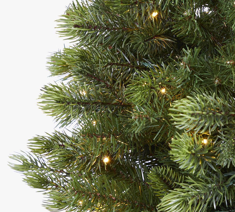 Lit Slim Colorado Mountain Spruce Faux Christmas Tree   6.5 Ft.   tiaotiao