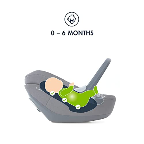 SWANDOO SEGGIOLINO AUTO ALBERT I SIZE OLIVE GRAY : Amazon.it: Prima infanzia
