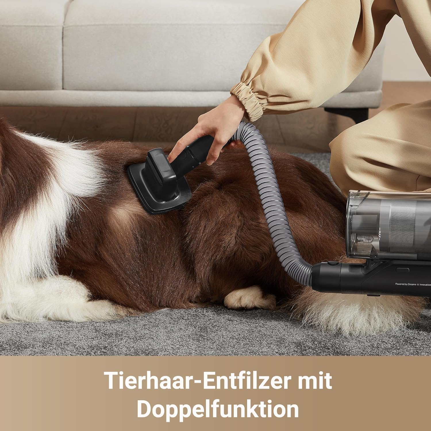 dreame Z30 Kabelloser Bodenstaubsauger, 310 AW Saugkraft, 90 min Max Reinigungszeit, Dust-Reveal-Technologie, Tierhaar-Entfernungswerkzeug, Multi-Flächen-Saugkraft, Schmutzerkennung