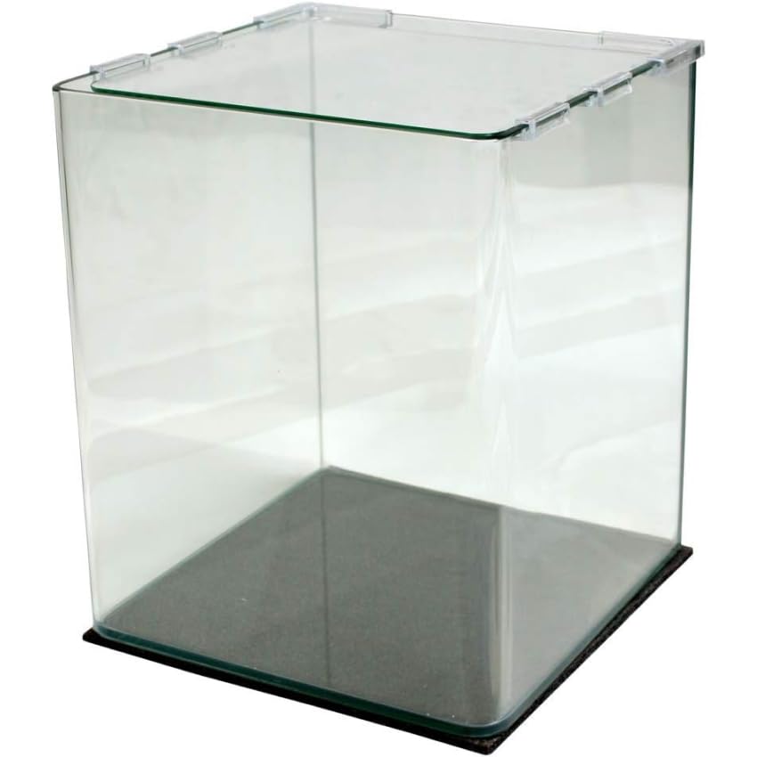AMTRA NANOTANK SYSTEM 60   Acquario in vetro completo di luce LED e filtro / cm 38x38x43 / 60 Litri : Amazon.it