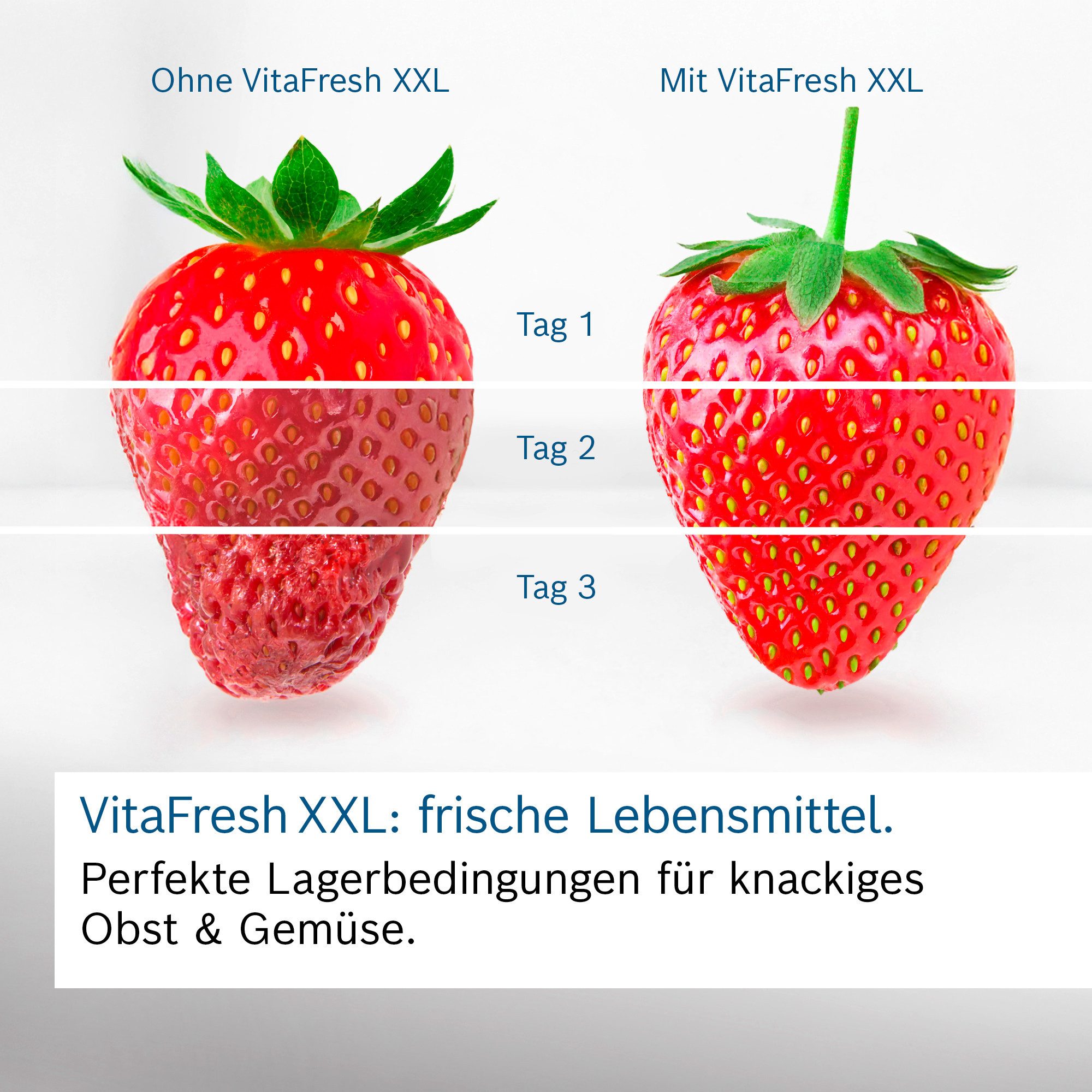 Kühl-/Gefrierkombination KGN392LCF