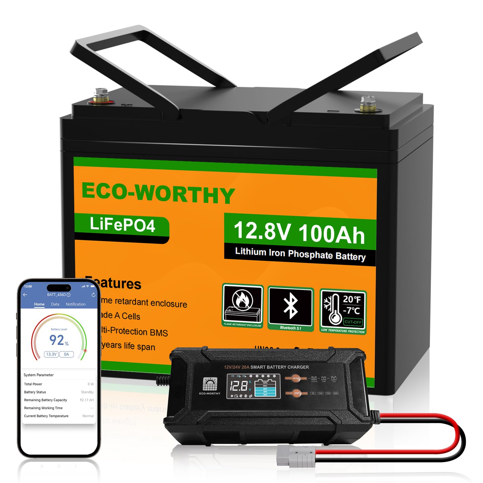 Eco Worthy 12V 100Ah LiFePO4 Bluetooth Batterie mit 12/24V 20A Ladegeräte BMS für Solar Wohnmobil