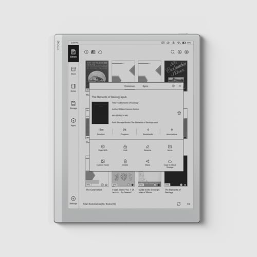 BOOX Go 10 3 Monocromatico Android