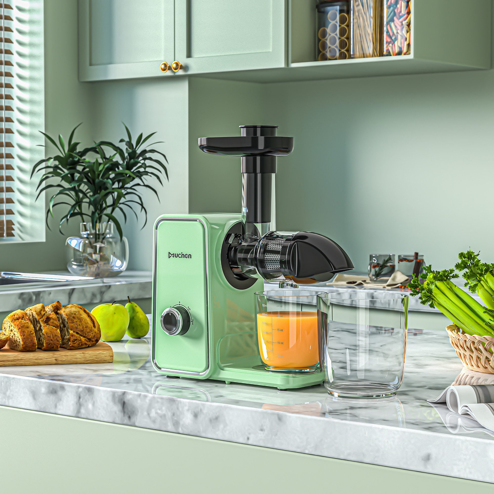 Slow Juicer Entsafter für Gemüse & Obst mit Umkehr Funktion 150W Hohe Saftausbeute