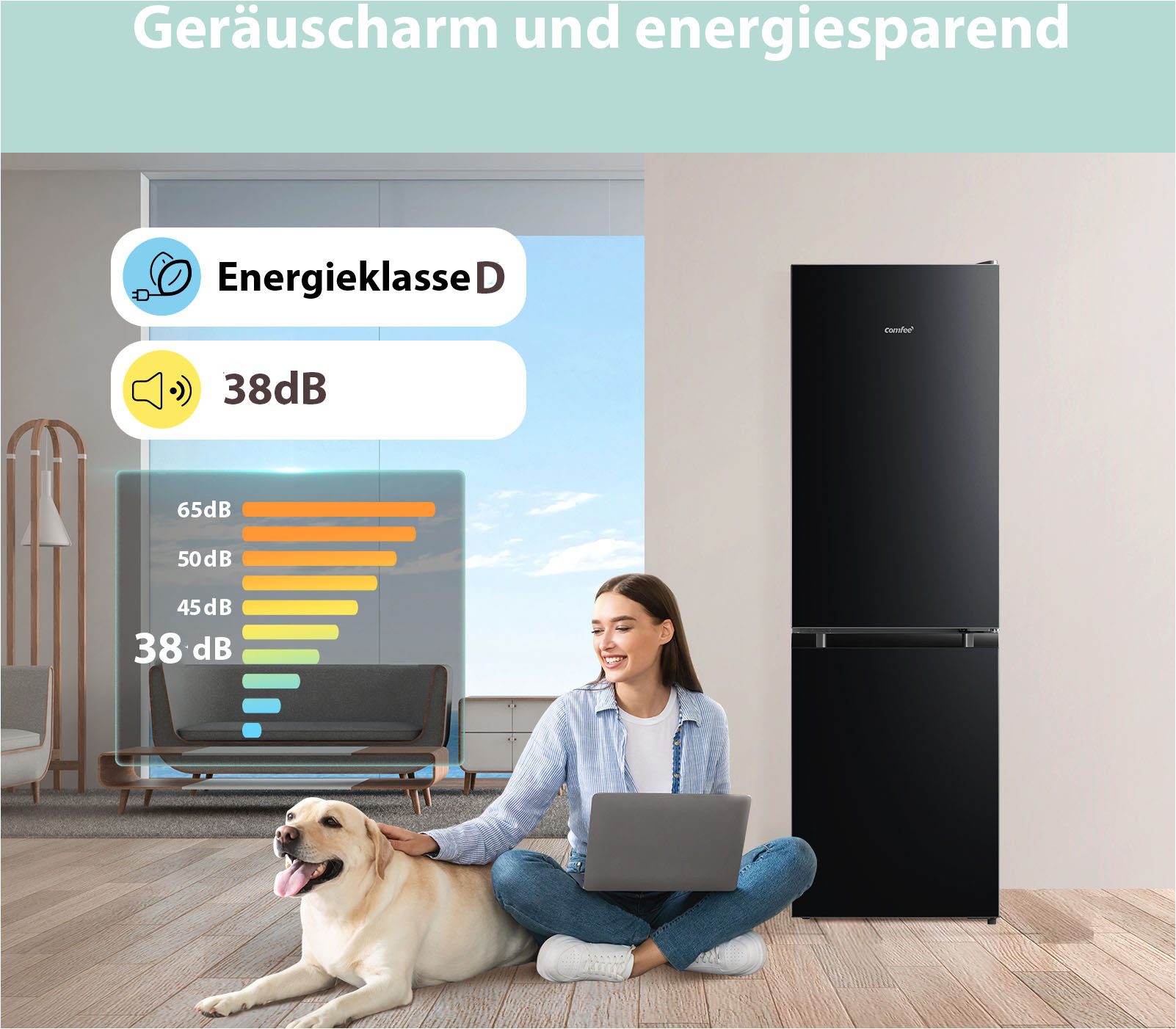 Kühl-/Gefrierkombination RCB169DK3