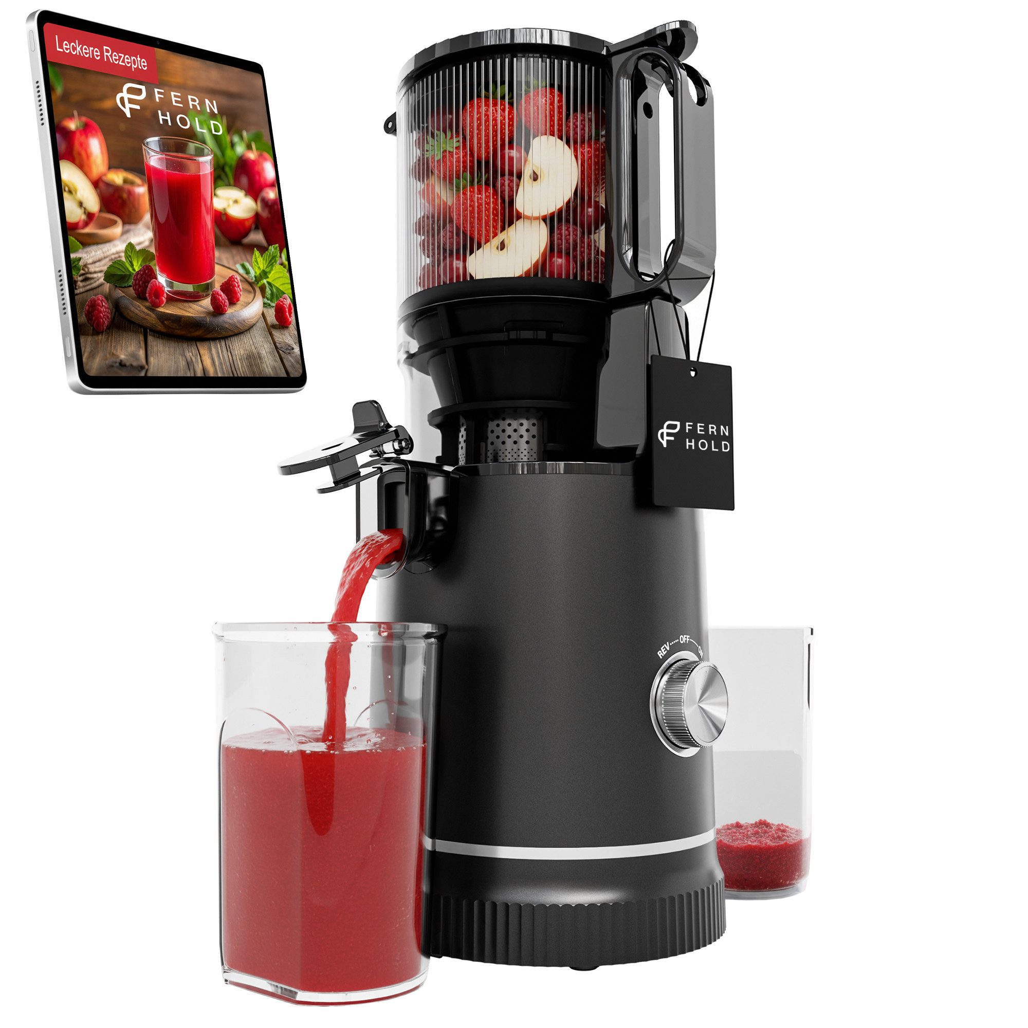 Slow Juicer Entsafter Gemüse und Obst
