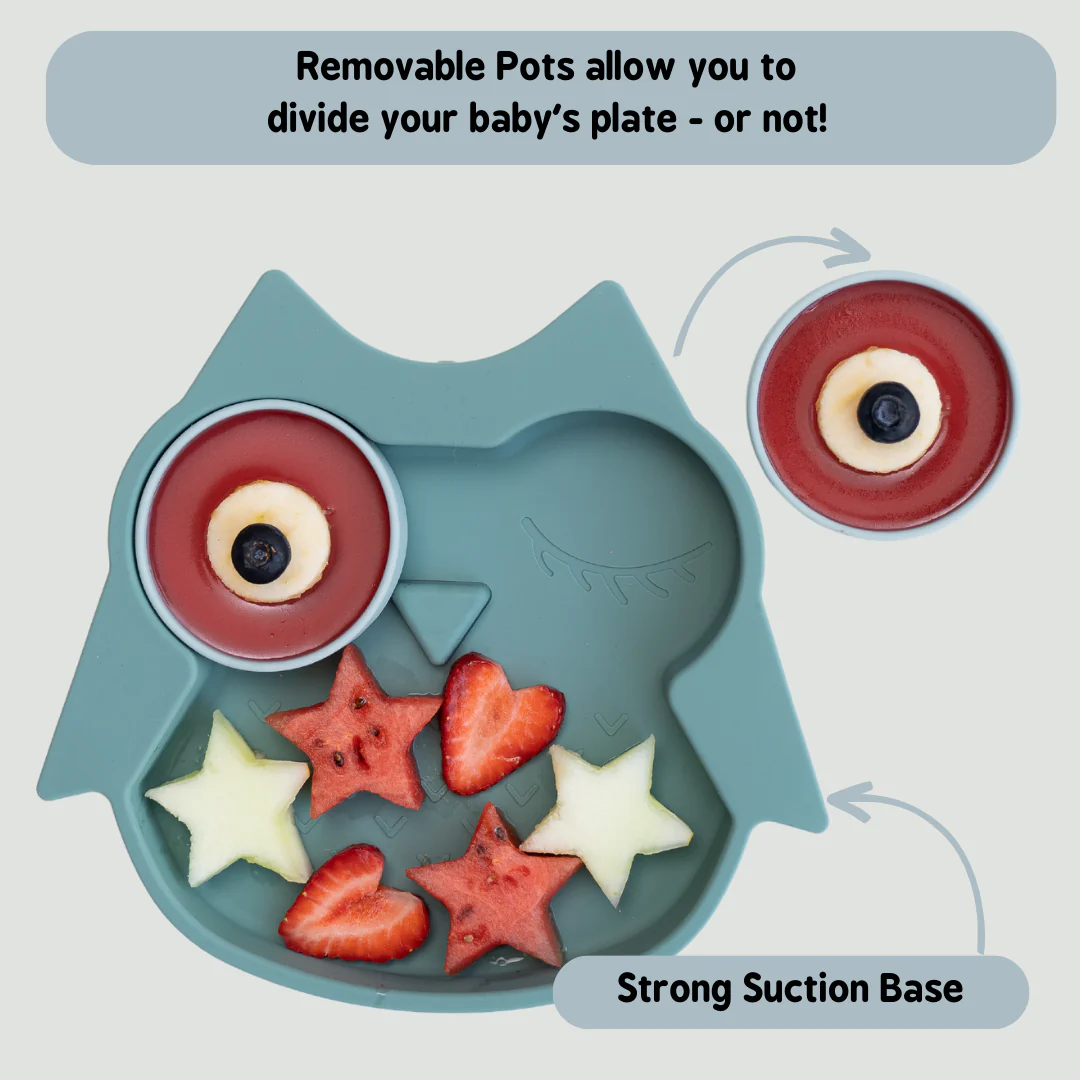 Silicone Animal Plates & Pots