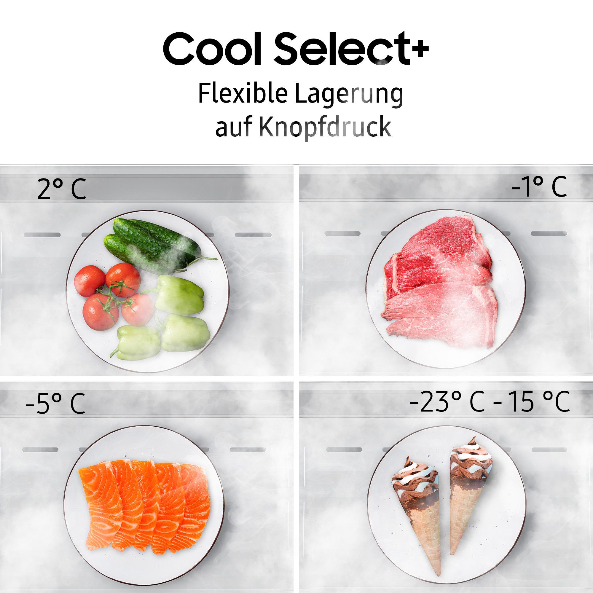 Kühl-/Gefrierkombination RB38C7AGWS9