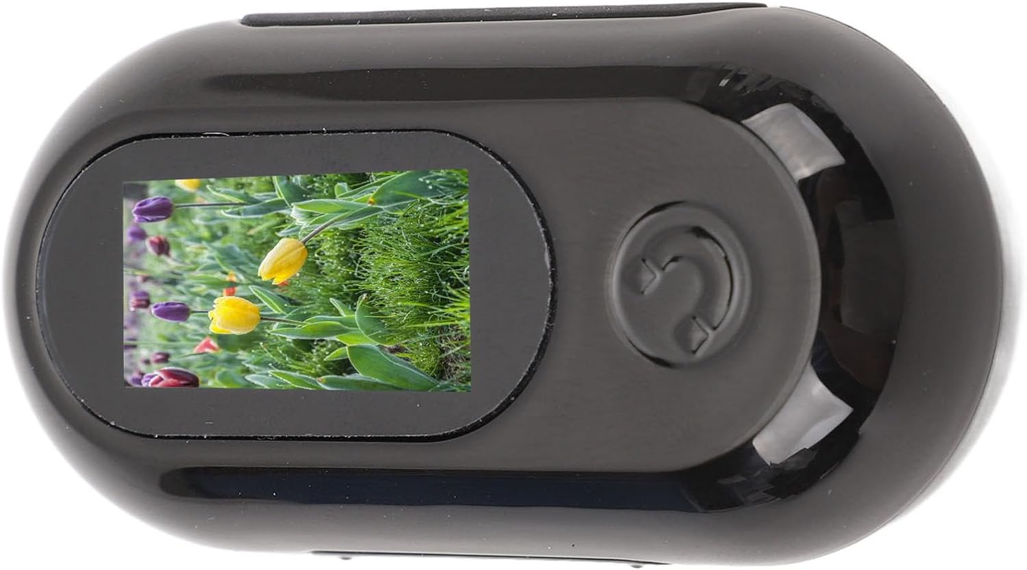 SENECESLI Telecamera per Collare per Gatti 1080P, Telecamera per Animali HD, Mini Telecamera D'azione per Registrazioni Video, Telecamera per Collare per Cani per Animali Domestici, (128GB)