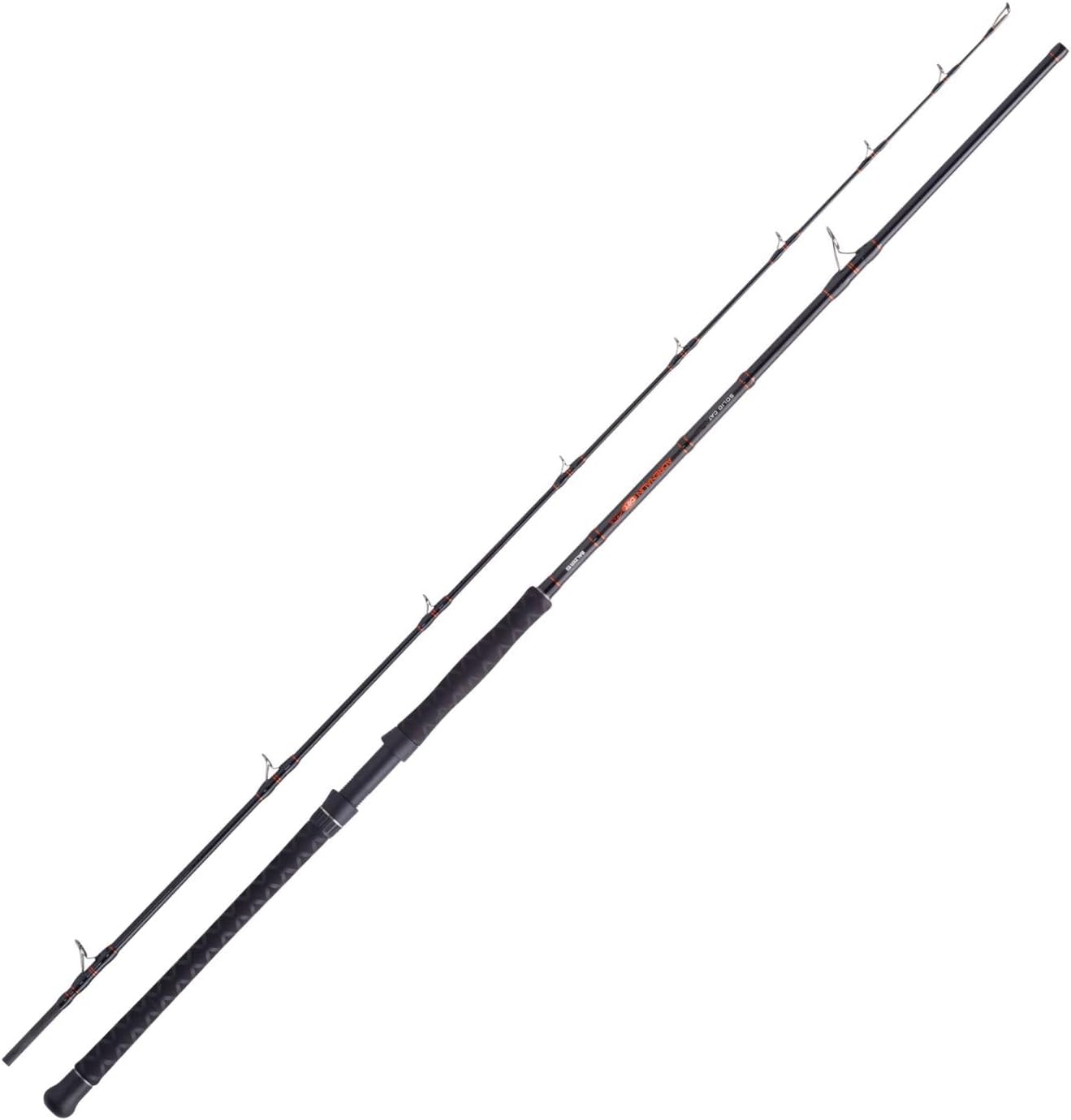 Balzer Solid Cat 2,90m bis 450g - Wallerrute, Welsrute, Steckrute, Angelrute zum Ansitzangeln