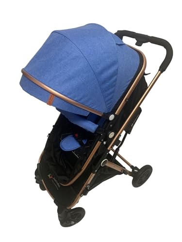 PASSEGGINO/CARROZZINA PIEGHEVOLE 2in1 DOPPIO/GEMELLARE DUE BLU E ROSA BAMBINI : Amazon.it: Prima infanzia