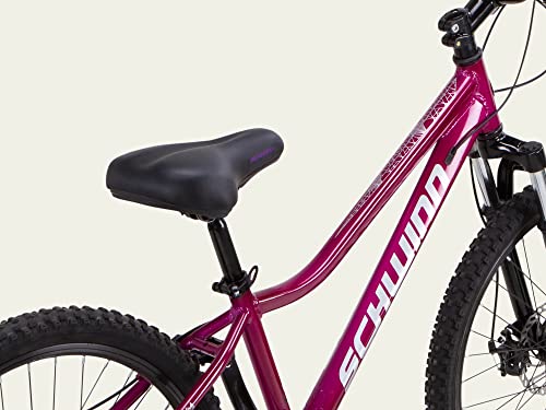 Schwinn Mountain Unisex Adulto Magenta 24 Zoll Reifen