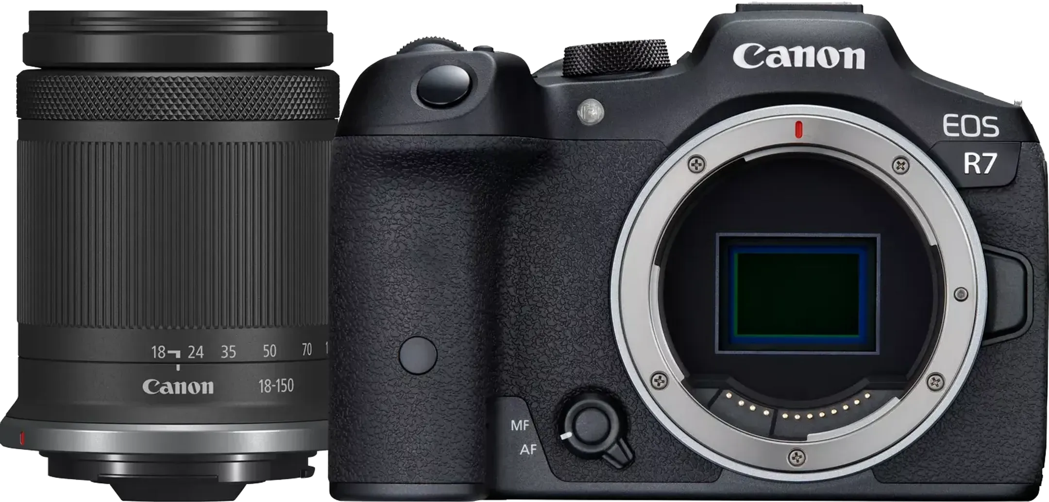 Canon EOS R7 + RF-S 18 - 150 mm f/3.5 - 6.3 IS STM