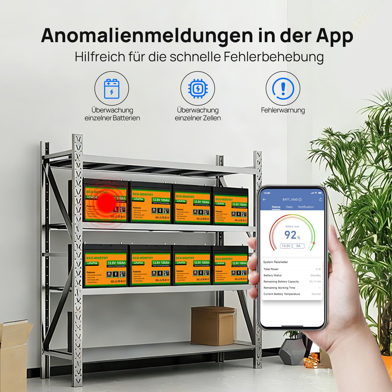 Eco Worthy 12V 100Ah LiFePO4 Bluetooth Batterie mit 12/24V 20A Ladegeräte BMS für Solar Wohnmobil