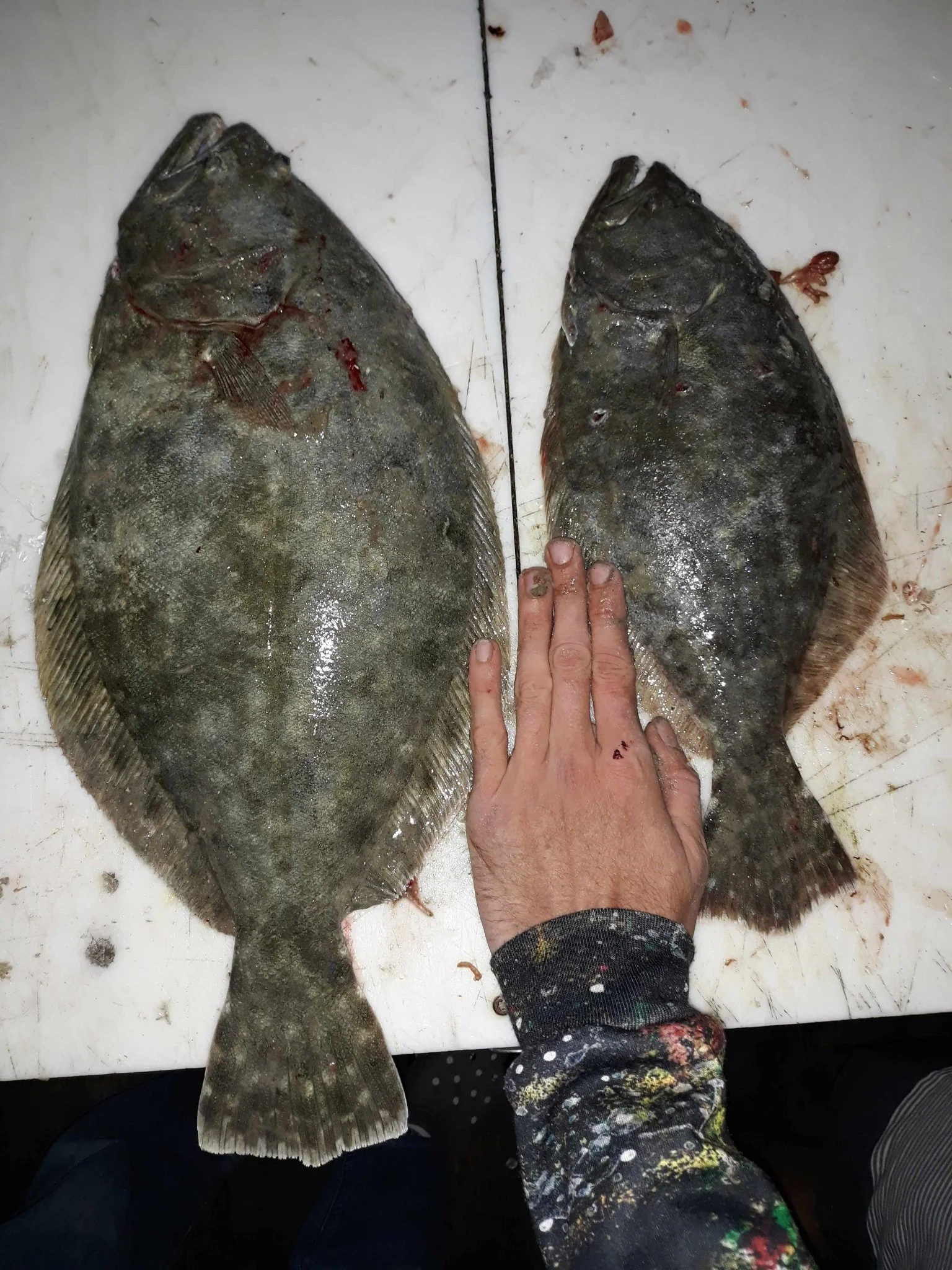 Green Blob Outdoors LED Flounder Gigging Bully Netting Light