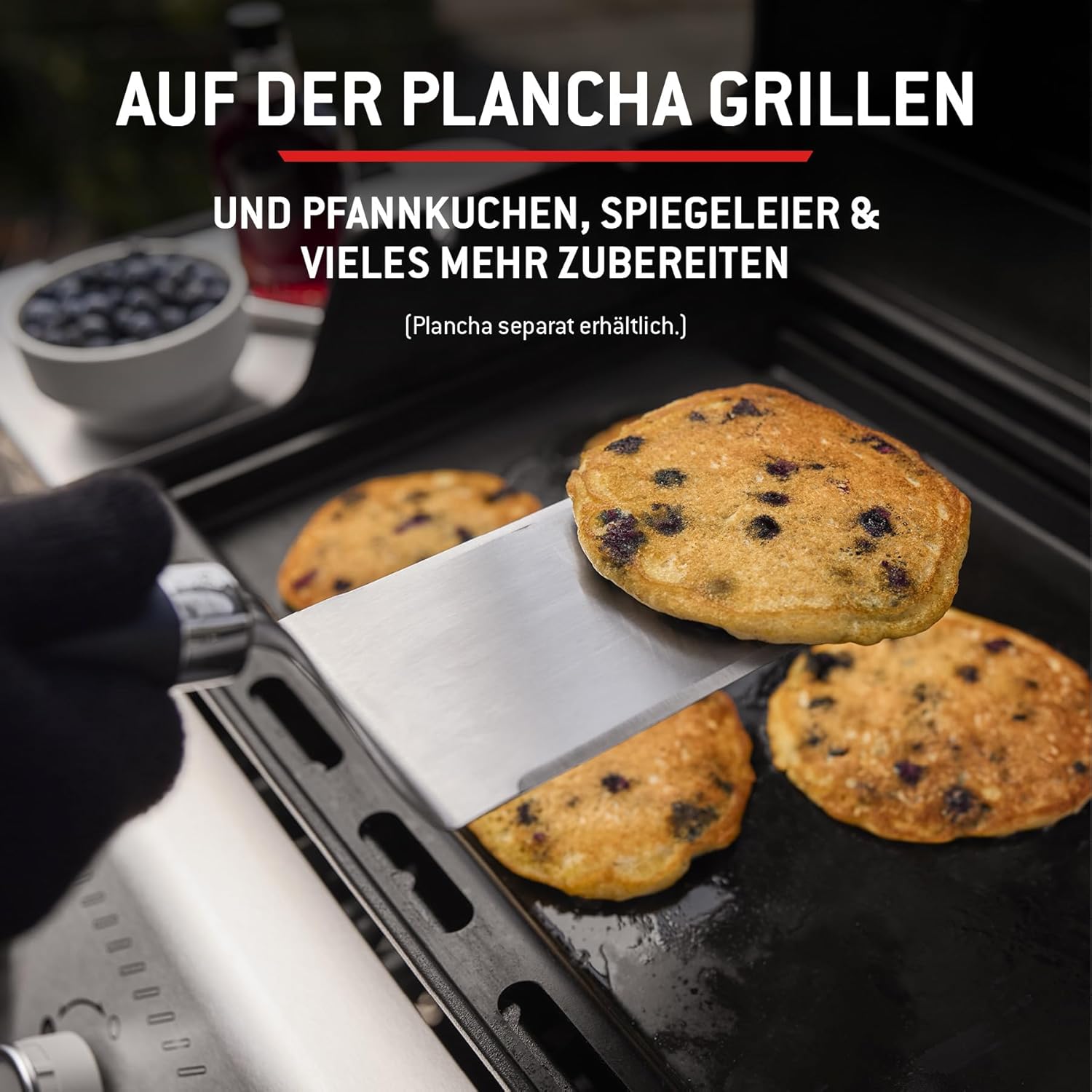 Weber Spirit E-210 Gasgrill, 2 Brenner, 51 x 46 cm Grillfläche, Warmhalterost, Deckelthermometer, 2 Räder - Schwarz/Silber (1500833)