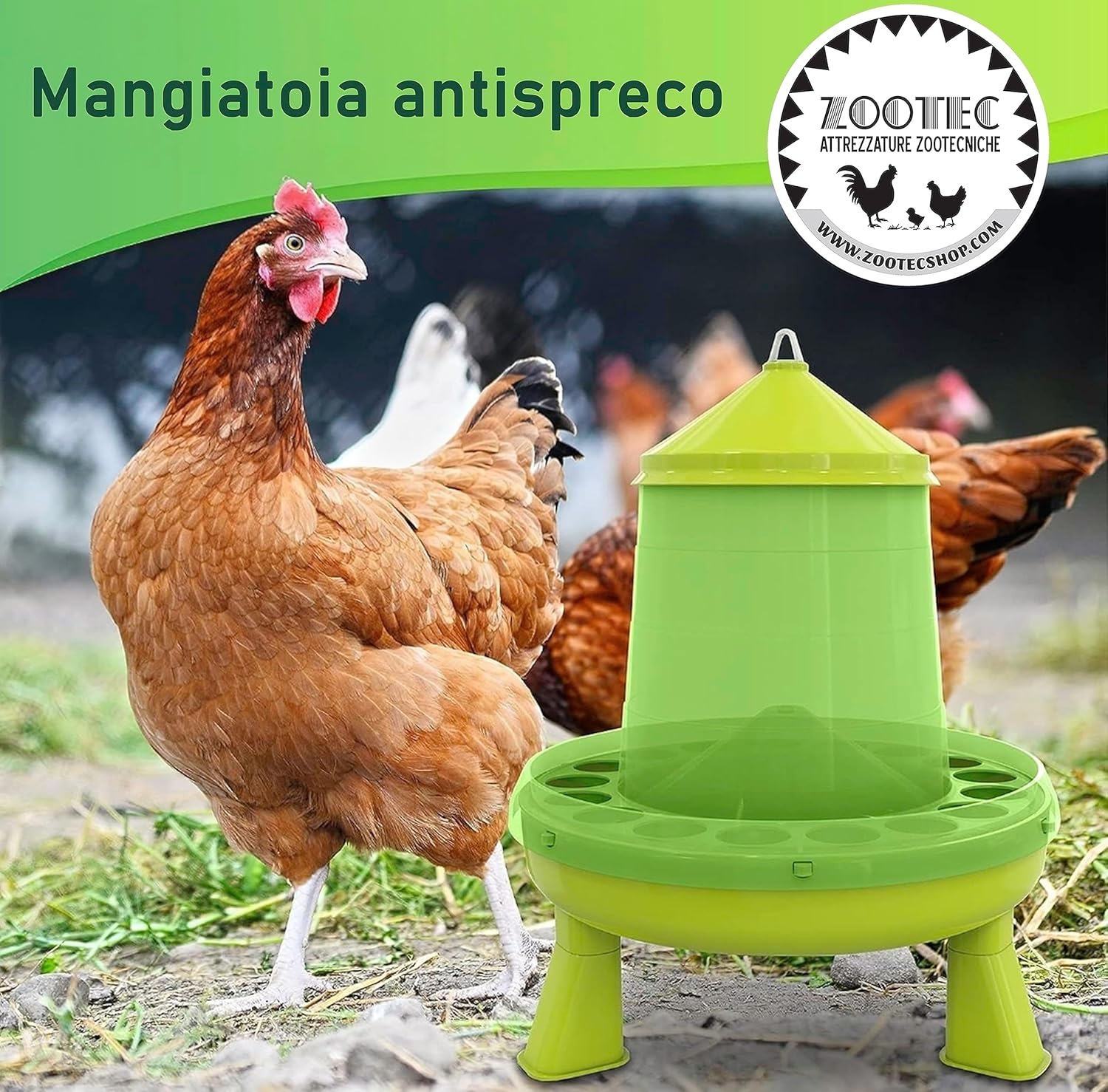 Mangiatoia per Galline 2 Kg e Abbeveratoio per Galline 3L - in Plastica Trasparente Resistente – Piedini rimovibili