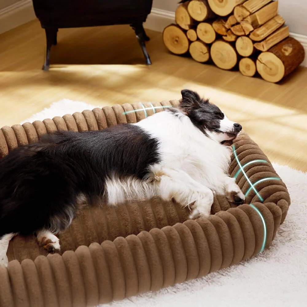 Orthopedic Dog Bed | Foam Base & Raised Edges | Small & Medium | 5 Colors | Hand Washable