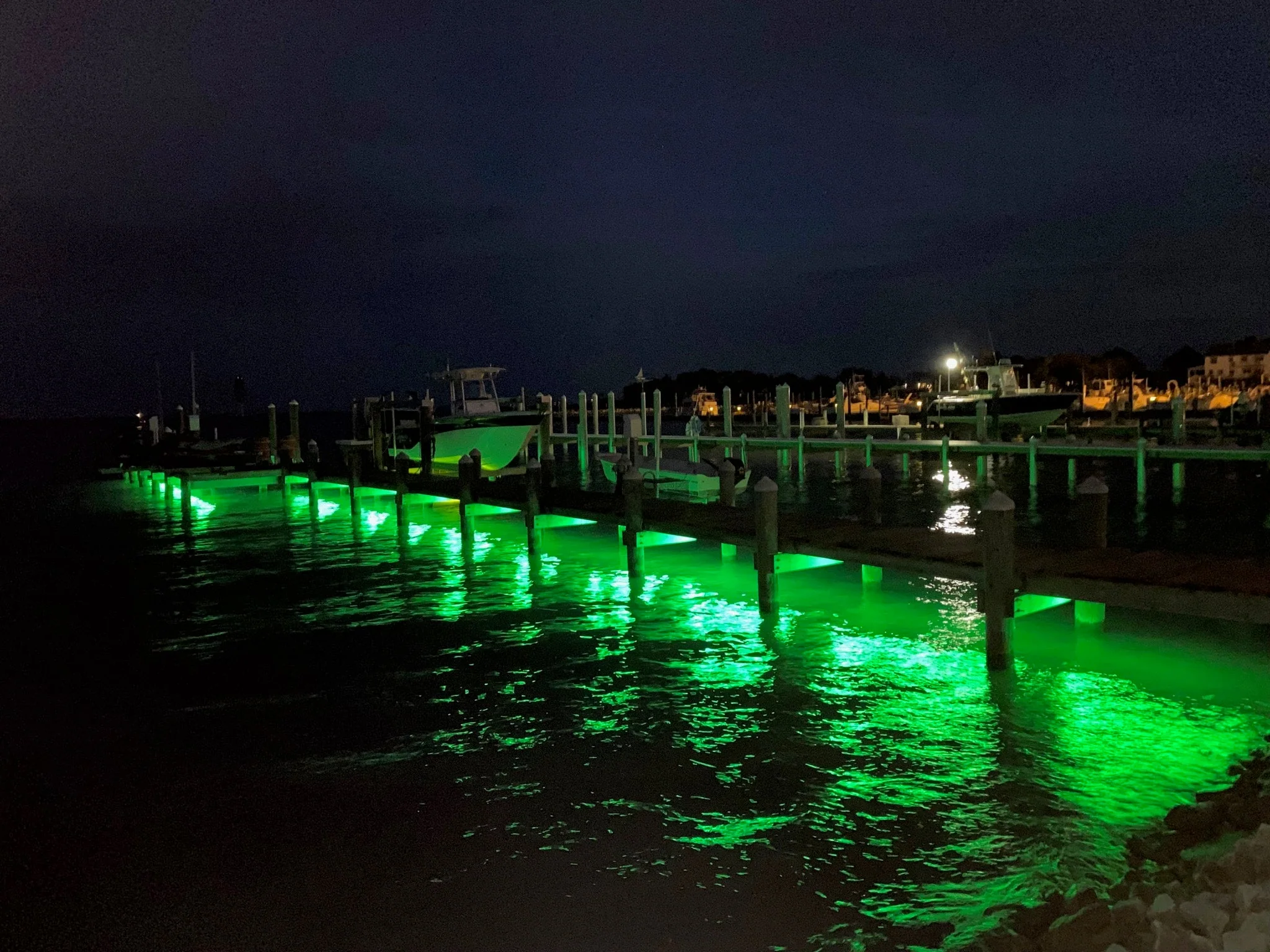 Pimp My Dock 50ft Length DIY Neon Multi-Color, Color Changing Premium LED Under Dock Accent Lighting Kit IP68 Completely Waterproof