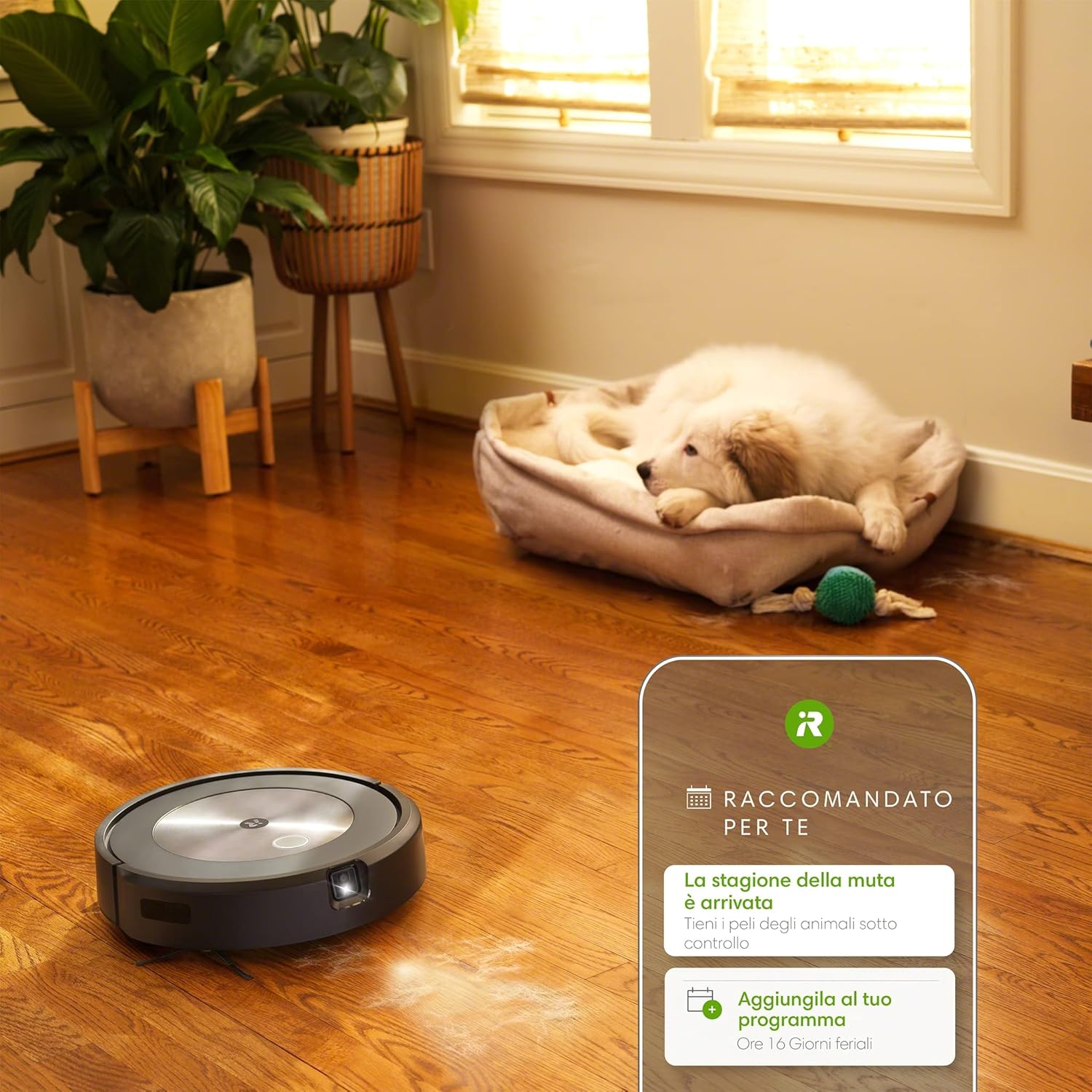 iRobot Roomba J7, Robot Aspirapolvere, Mappatura Intelligente, Rilevamento Ostacoli, Wi-Fi, 2 Spazzole MultiSuperficie, Adatto Animali Domestici, Programmabile con App e Assistente Vocale, Silver