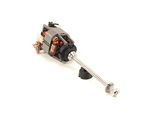 Hamilton Beach 990156300 Motor Complete Assembly 120 Volt : Home & Kitchen