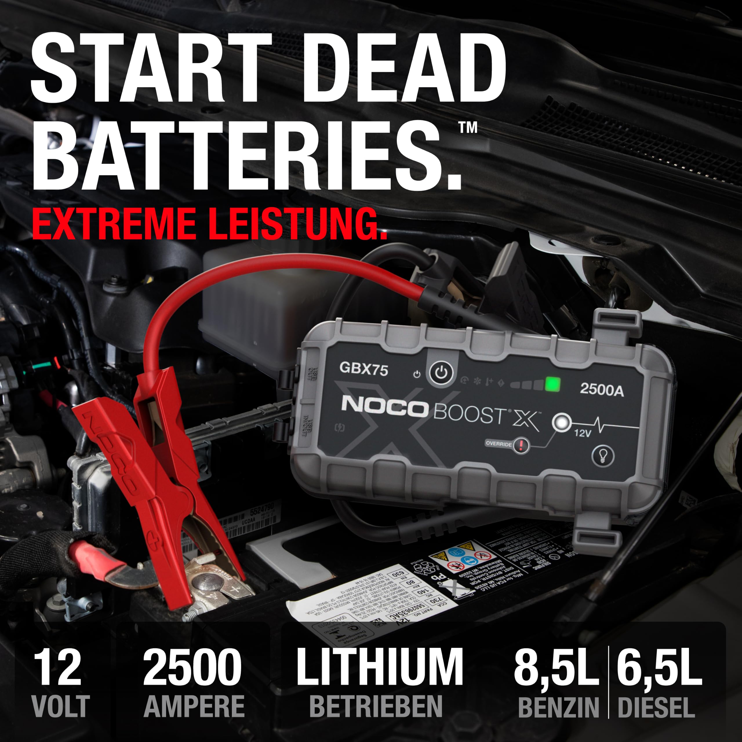 Starthilfe Powerbank 2500A für Benzin bis 8,5 L und Diesel bis 6,5 L, 12V Lithium mit USB-C