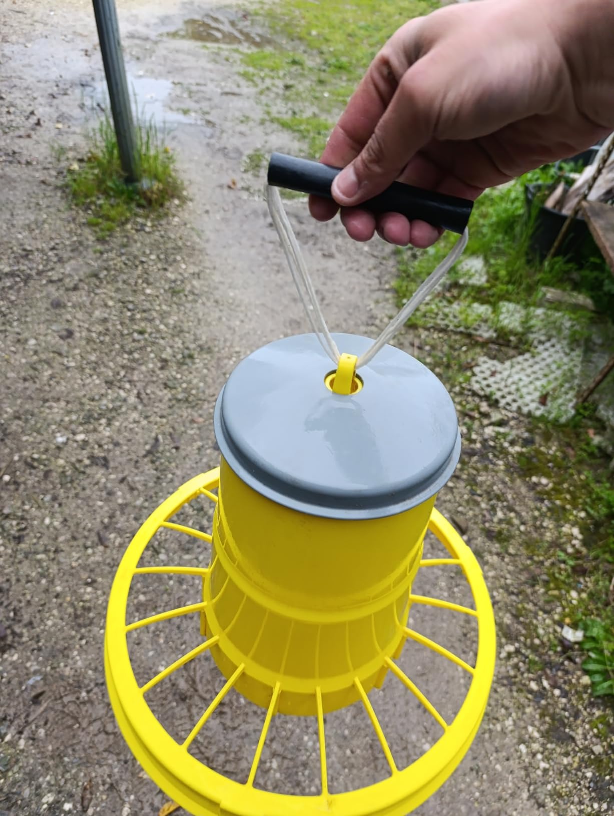 Zootec Mangiatoia per Galline, antispreco, Asta Regolazione del mangime, Coperchio e Piedini. capacità 5 kg. + Abbeveratoio per Galline a sifone in plastica con Manico e Piedini. capacità 10 Litri.