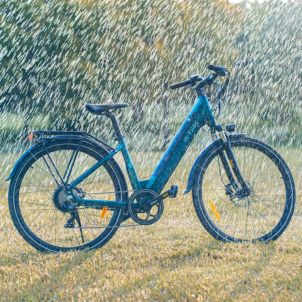 2025 Fiido C11 Lichtgewicht Urban E-Bike