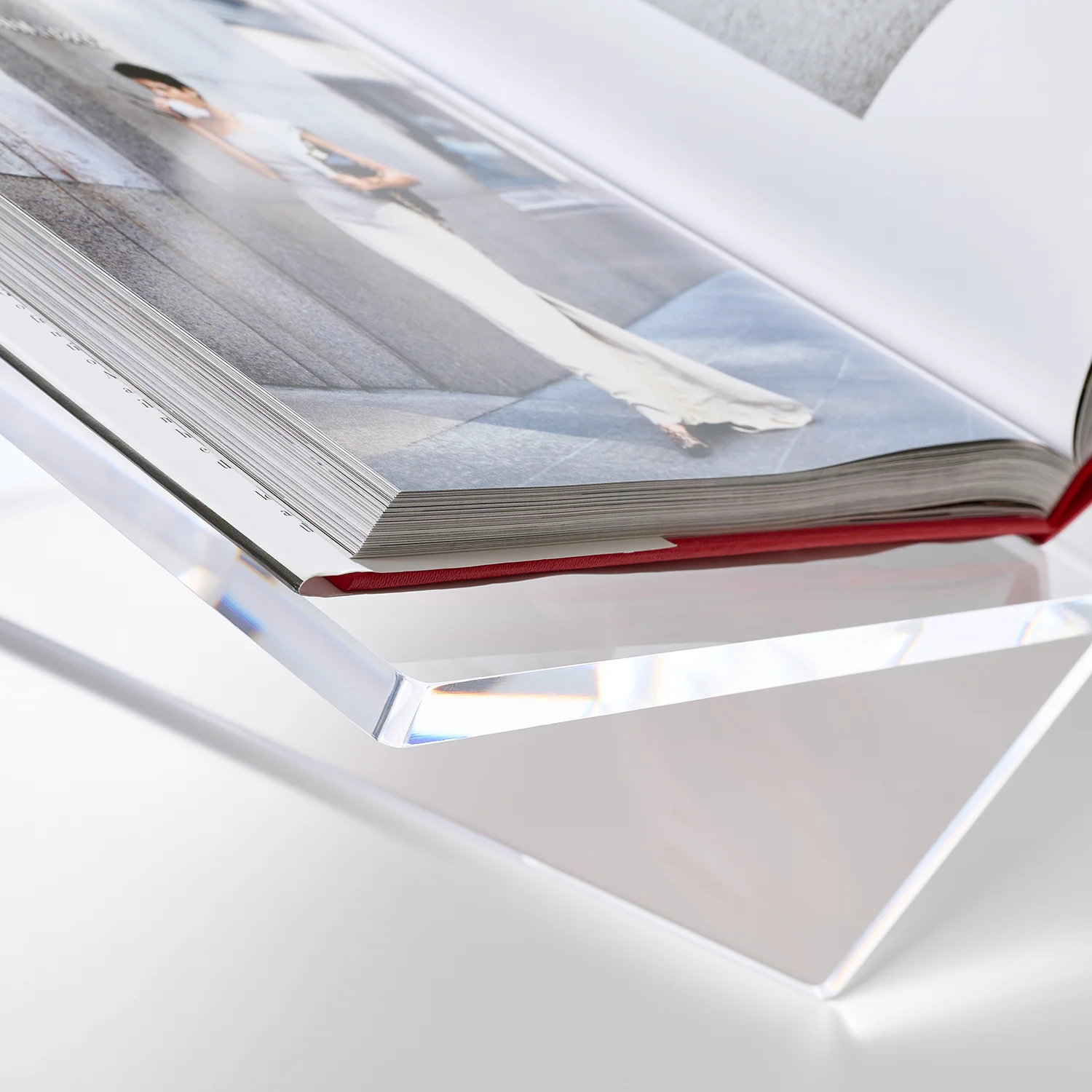 Case Pack of 2 Curator's Book Stand