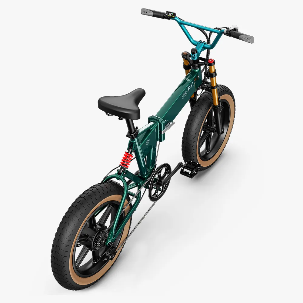 Fiido M1 Pro Elektrische Big Wheel Fatbike Fiido M1 Pro Elektrische Fatbike
