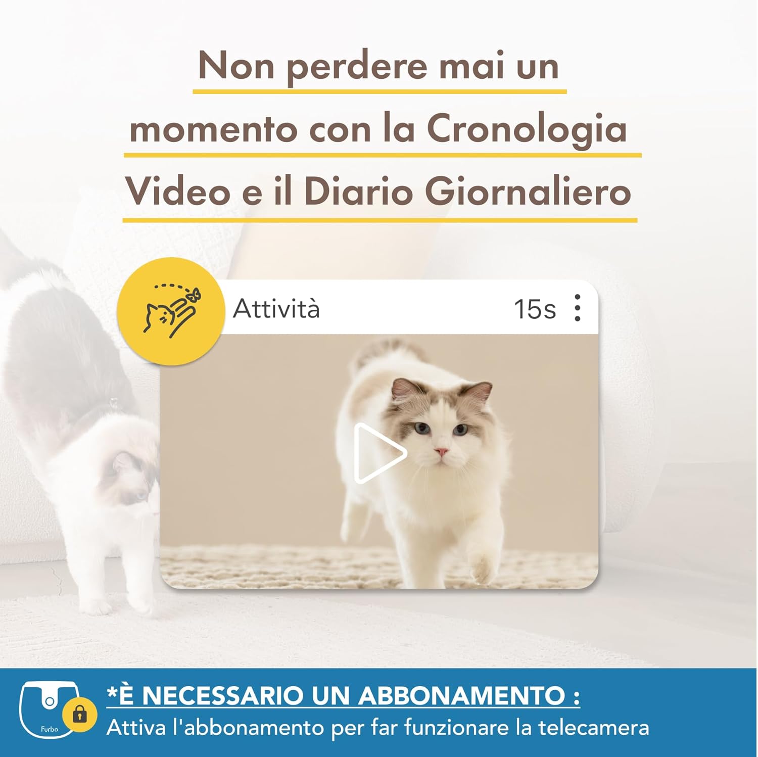 Furbo Videocamera 360° per Cani con Pacchetto Sicurezza Casa