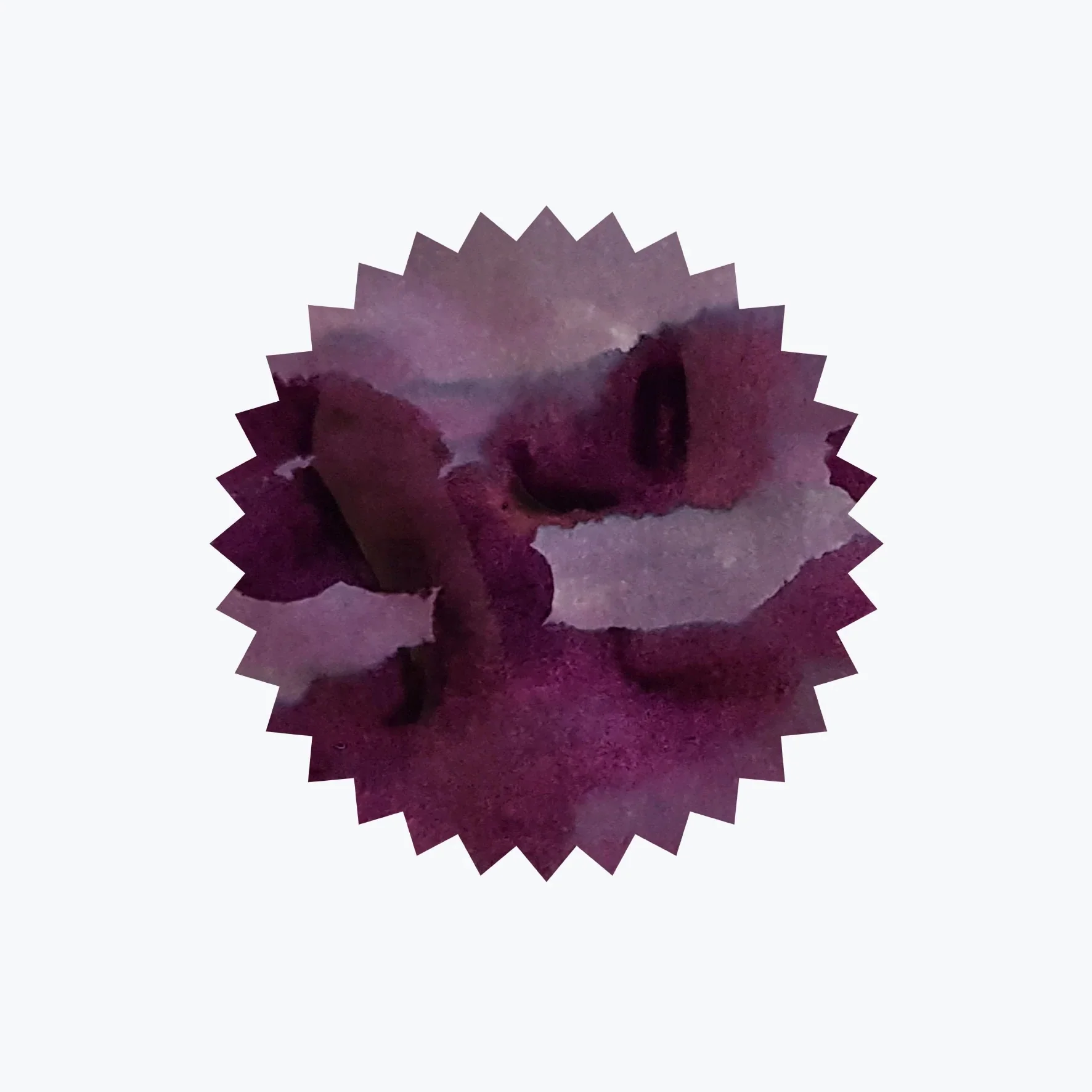 Robert Oster Barossa Grape Signature Ink